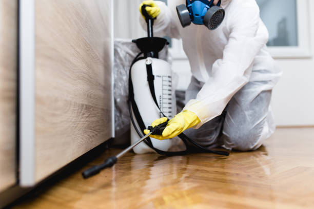 Best Emergency Pest Control  in Palm Springs, CA