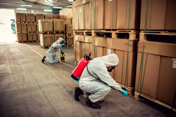 Best Flea Control Services  in Palm Springs, CA