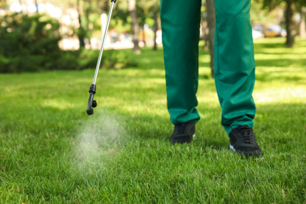 Best Mosquito Control Services  in Palm Springs, CA