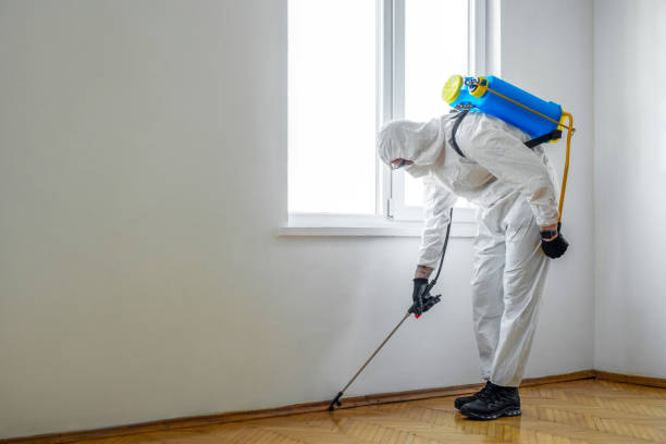 Insect Control in Palm Springs, CA