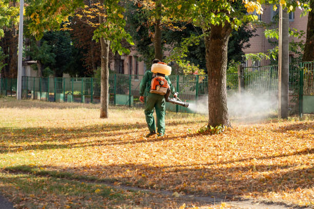 Pest Control Cost in Palm Springs, CA