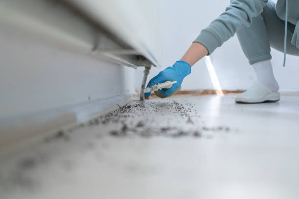 Best Exterminator Services  in Palm Springs, CA